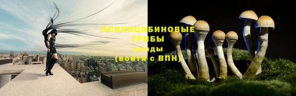 не бодяженный Дмитриев