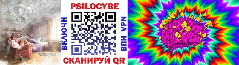 купить наркоту  Закаменск  Галлюциногенные грибы мицелий 
